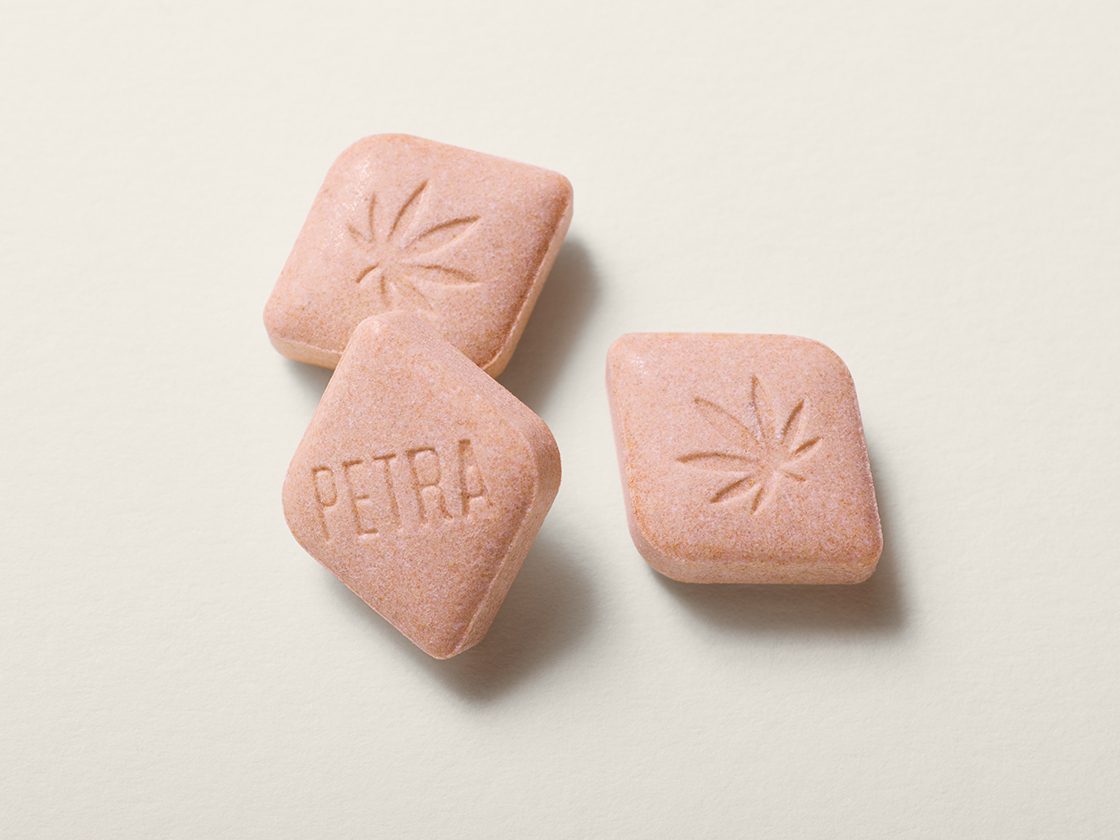 Petra Mint Cinnamon CBD 1:1 Cannabis Edible | Kiva Confections