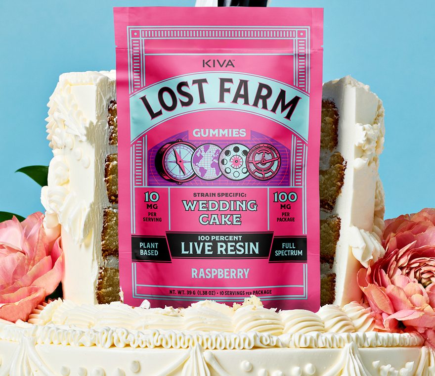 GEO LFG Rasp WC Sensory Wedding Cake Topper 1200x1501 c706b17 880x760