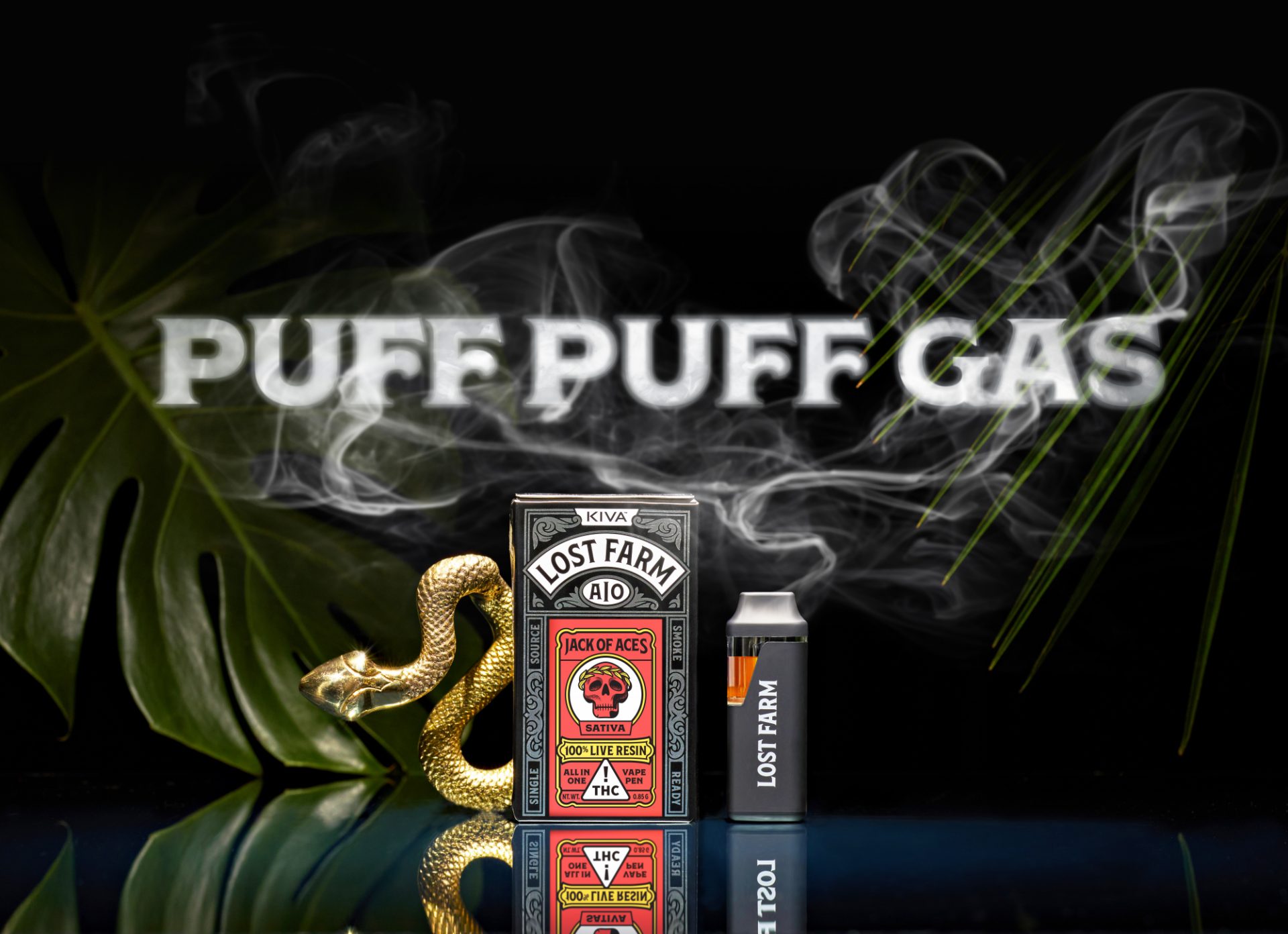 Lost Farm NV Vape T Davis Dec067006 No Smoke Full