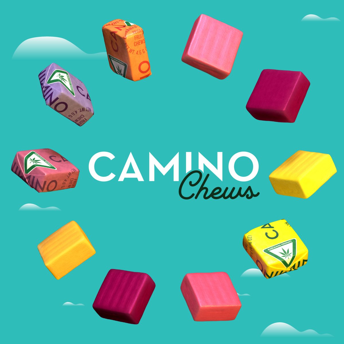 MI Camino Chews Floor Cling 24x24in Layered 250414 1006 1200x1200 bd93c0f