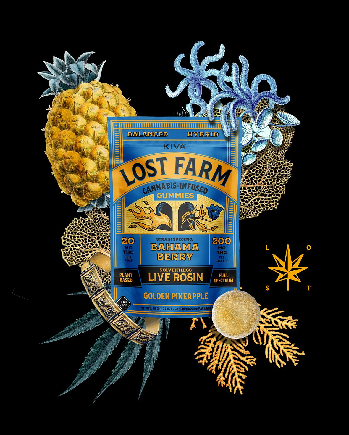 MI Lost Farm Flavor Collage GP BB LIVE 250203 11800x1470